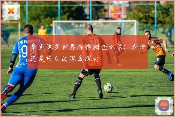 章鱼保罗世界杯预测全记录：科学还是巧合的深度探讨